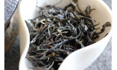 古树普洱茶