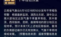 干旱的普洱!!!茶农哭了,难得的普洱茶!