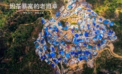 暴富后的老班章,攀比、吸毒、炫富,几年后会被打回
