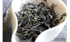 地理纬度与普洱茶的关系